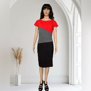 Ladies Color panel dress with back